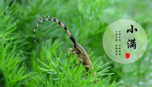 上海AG8旗舰厅仪器